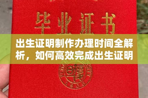 沣西出生证明制作办理时间全解析，如何高效完成出生证明申请？